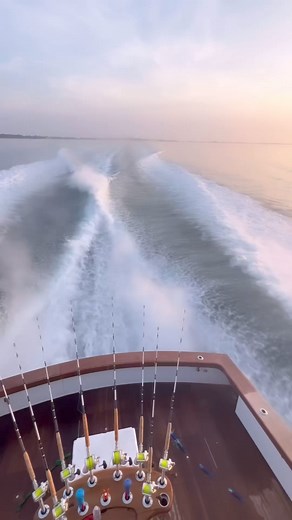 Blue Marlin World Cup on Reels