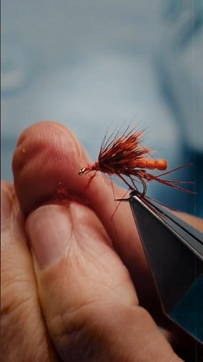 Fly tying with an expert: learn to tie the Detached Body Hopper with Davie McPhail.