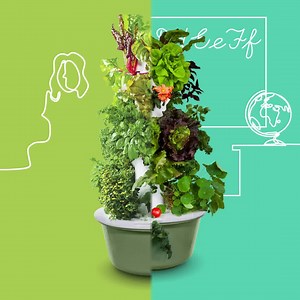 3.7K views · 265 reactions | Skip that trip to the grocery store. Start growing with Tower Garden. Easily grow fresh, delicious produce anywhere in your home - no weeding or digging. | Tower Garden | Facebook