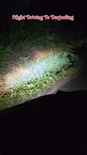 #darjeeling #darjeelingroadtrip
