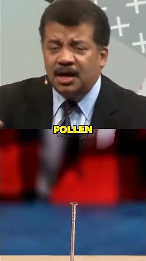 The famous myth the sun ☀️ is yellow w/ Neil deGrasse Tyson's
