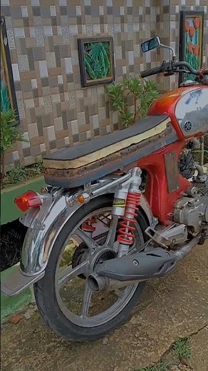 Honda S90 kawin silam Shogun kebo