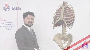 4.3K reactions · 276 shares | In these challenging times, Punjab Colleges ensures top-notch Intermediate preparation for students with 4000+ comprehensive & easy to understand video lectures. Download the PGC app today or visit your student portal: | Punjab Group Of Colleges | Facebook