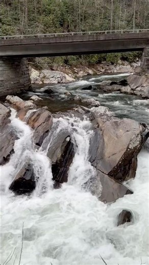 Sojourn week 30 scenery driving at Great Smoky Mountains 被大煙山的水聲和晚霞治癒#nature #world #travel #daily