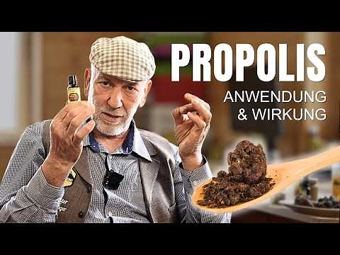Propolis erklärt: Wirkung, Anwendung, Gewinnung & Vorteile