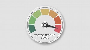 Animation de jauge de niveau de : vidéo de stock (100 % libre de droit) 3997757937 | Shutterstock