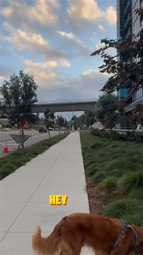 🏃‍♂️ “MOVE YOUR BODY — CHANGE YOUR LIFE.” 🏃‍♀️ Whether you walk, jog, or run — motion is medicine. ✨ 3 ways it boosts your health: • 🧠 Sharpens your mind – increases focus, reduces stress, and releases endorphins. • ❤️ Strengthens your heart – improves blood flow, lowers cholesterol, and supports long-term heart health. • 🔥 Builds consistency & confidence – small steps add up to big results. 💬 Your turn: what’s your favorite time to move — morning 🌅 or evening 🌇? #FitForYouGuam #GuamFitne