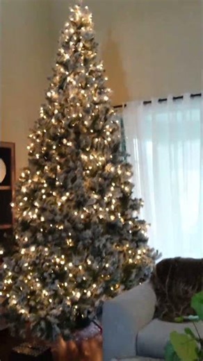 The Evil Twin Destroyed our House! #shorts