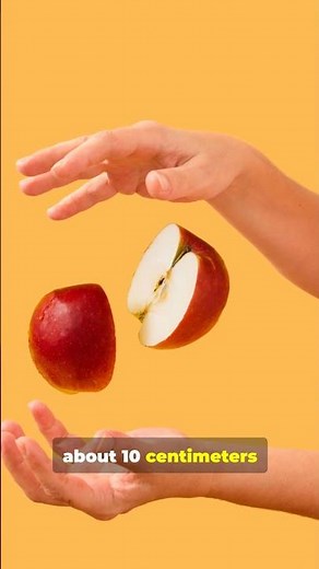 What Is a Joule? Energy Explained Simply