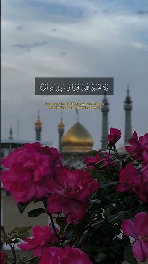 #اللهم_صل_على_محمد_وال_محمد