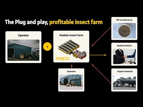 Start an Insect Farm 'The Right Way'
