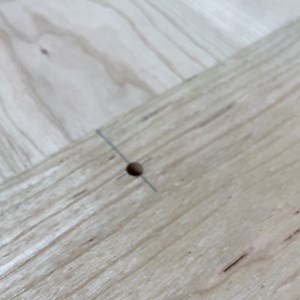 12M views · 11K reactions |  Here are some satisfying thuds for you....