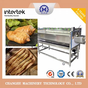 [Hot Item] Potato Cleaner Washer/Brush Type Vegetable Washing machine