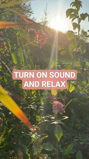 This Evening Sound Forces Your Brain to Rest. Wind & Insect Chorus 🌅 #nature #relaxing