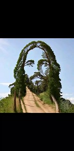 311K views · 88K reactions | Miami Beach �FIorida USA ��� Your Eyes 85% to Se Magic �� | Living Star Comedy | Facebook