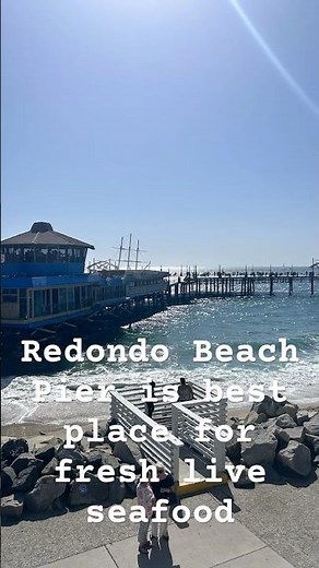 Redondo Beach Pier, Ca live seafood and Bars. There are plenty of different food ethnic