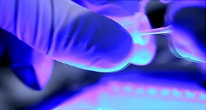 Search and Destroy: Targeted Cancer Therapy