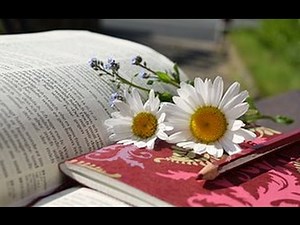 PACHELBEL CANON – Musique Classique pour Étude Concentration Mémorisation Créativité – STUDY MUSIC