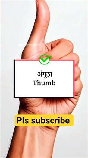 learn 5 Fingers Name (English) #dailyenglish #vocabs #englishforbeginners