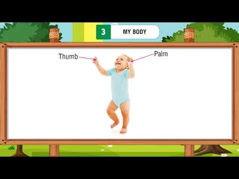 Ch 3 | Miniminds | Picture Fest B | My Body | For children
