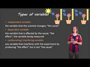 Lab report title pages