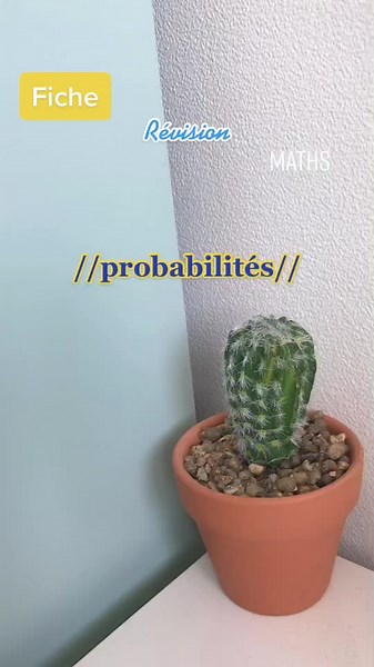 fiche maths 🧮! #pourtoi #viral #fypシ #ficherevision #foryou #xybzca #fiches