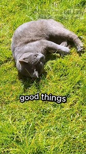 28K views · 7.7K reactions | Sooo many grass stains 浪 This is...