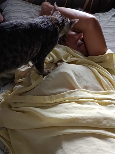 May tagagising na sya #cat #catlovers #lovelycat