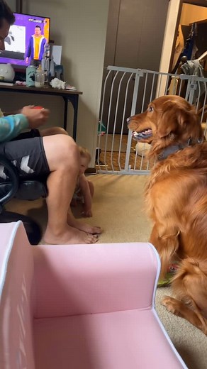 Pubity on Instagram: "Her little laugh😭❤️ Mom- Jeanne Ernst via ViralHog"