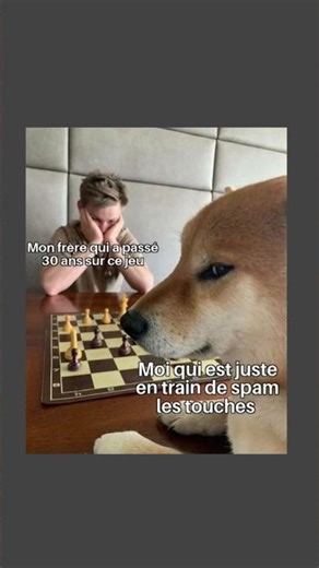 #memes #chien #funny #animaux #trend #faitespercer #pourtoi #fypシ゚viral #humour #échecs
