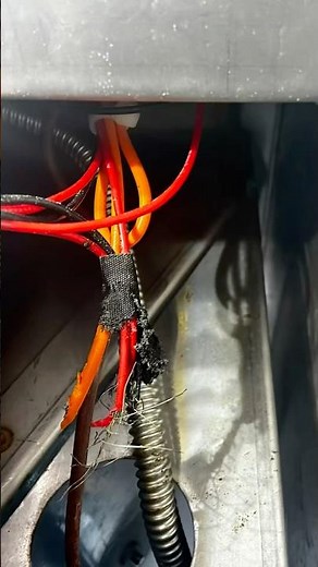 Why Your Grill Stopped Working — Rodent Damage Warning! #appliancerepairservice