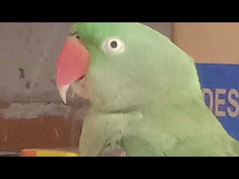 @mitthu playtime is live!