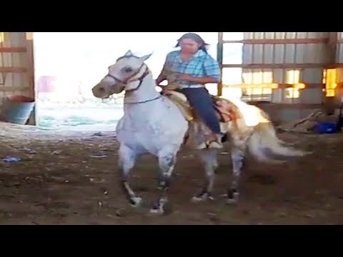 Girl Horse Riding - Riding Lovers Official - HD