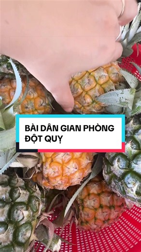 Dứa chứa Bromelain - đây là một enzyme phân giải protein. Khi đi vào cơ thể, nó kích hoạt hệ thống tiêu sợi huyết, trực tiếp phá vỡ các mạng lưới fibrin đang làm đông máu.