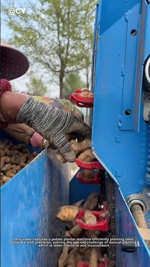 Amazing Potato Planter in Action!🌾 | Efficient Farming Machine