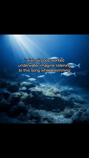 Pollen Lumps on Instagram: "Song: Running Back Boy - WonderBag"