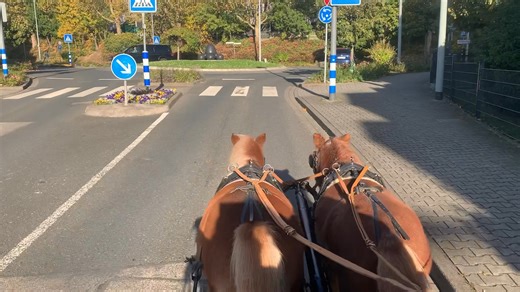 2K views · 48 reactions | Unterwegs mit Max und Moritz und Beifahrerin Lotti | Fahrteam Christoph | Facebook