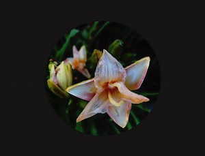 Menerapkan Mode Gelap Menggunakan JavaScript, CSS, dan Pustaka Pihak Ketiga