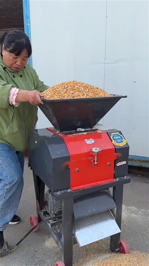 Household Feed Pellet Machine Production Line; Feed Pellet Machine #corncrusher #farmequipment #1m