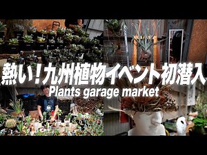 みんなで楽しめる最高の植物イベント行ってきた！[アガベ][ビカクシダ][塊根植物][多肉植物]