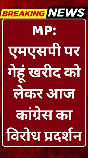 Breaking News: MP: एमएसपी पर गेहूं खरीद को लेकर आज कांग्रेस का विरोध प्रदर्शन #tv100