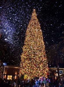 Newport Beach's Fashion Island Christmas Tree Lighting Goes Old School