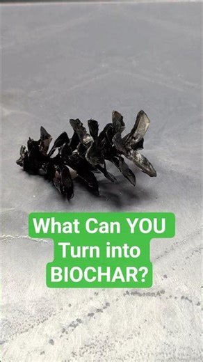 Can THIS Become Biochar? 🔥♻️ #gardening #biochar #kiln #composting