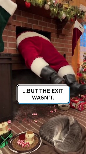 15K views · 16 reactions | Santa’s not stuck—he’s just spreading Christmas chaos  | Diply | Facebook