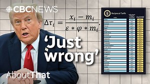 Trump's tariff calculation is absurd and child-like