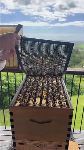 How to remove your queen excluder from your Flow Hive