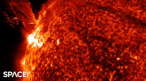 The sun erupted with an X1.9-class solar flare on Dec. 1, 2025. NASA's Solar Dynamics Observatory captured the blast in multiple wavelengths. Read more👉 https://space-com.visitlink.me/waX1uV Credit: Space.com | footage courtesy: NASA / SDO and the AIA, EVE, and HMI science teams / helioviewer.org | edited by Steve Spaleta | Space.com