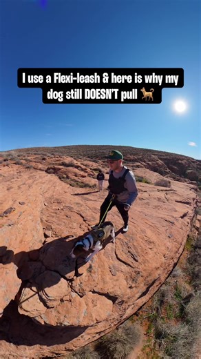 It isn’t the leash that is preventing you from achieving a loose leash walk.. It’s the foundation 👇 I know I know. A Flexi Leash?? Let’s address the elephant in the room. The tool doesn’t train your dog. The handler does. Whether Mya is on a 4ft slip lead or a 26ft retractable. The standard for a “loose leash” never changes but why? Because we didn’t train a “position” we trained a feeling and taught proper leash pressure so that Mya understands the rules of the game. Here is ONE solid tip that