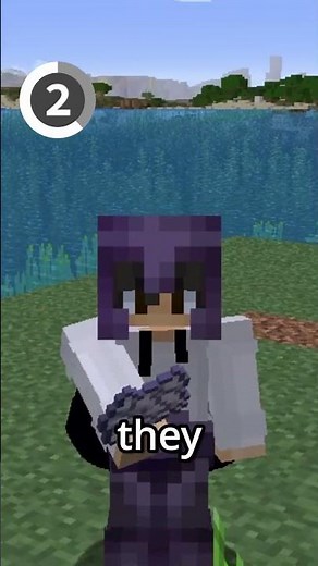 What other Bedrock features should they add?