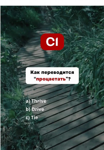 Тест на знания английского языка - Уровень C1
